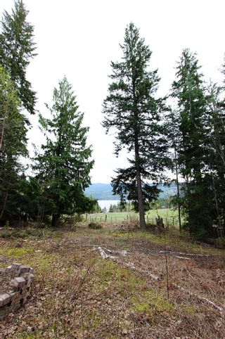 Photo 38: 99 Fraser Crescent: Anglemont Land Only for sale (North Shuswap)  : MLS®# 10097577