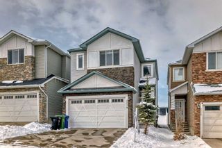 Photo 50: 252 Nolanhurst Crescent NW in Calgary: Nolan Hill Detached for sale : MLS®# A2117718