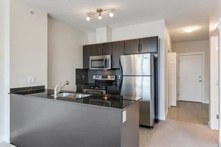 Photo 7: 303 325 3 Street SE in Calgary: Downtown East Village Apartment for sale : MLS®# C4222606