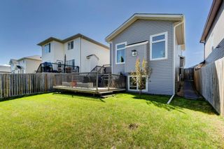 Photo 28: 788 Luxstone Landing SW: Airdrie Detached for sale : MLS®# A2051153