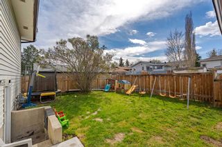 Photo 33: 139 Pinemill Way NE in Calgary: Pineridge Detached for sale : MLS®# A2132765