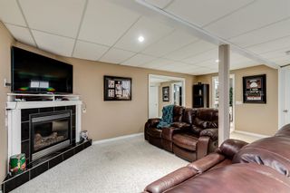 Photo 26: 47 Thornbird Way SE: Airdrie Detached for sale : MLS®# A2043792