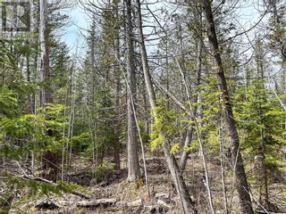 Photo 8: 26-27 Bay Estates South in Nemi: Vacant Land for sale : MLS®# 2110834