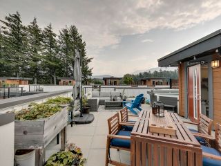 Main Photo: 43 39769 GOVERNMENT Road in Squamish: Northyards Townhouse for sale in "Breeze" : MLS®# R2724296