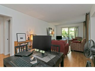 Photo 15: 101 1341 GEORGE Street: White Rock Condo for sale in "Oceanview" (South Surrey White Rock)  : MLS®# R2600581