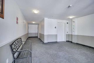 Photo 6: 2310 2280 68 Street NE in Calgary: Monterey Park Apartment for sale : MLS®# A2124709