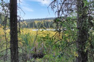 Photo 8: PROP LOT 8 BROWN Road in Bridge Lake: Bridge Lake/Sheridan Lake/Lac Des Roche Land for sale in "Country Ridge Estates" (100 Mile House)  : MLS®# R2881053
