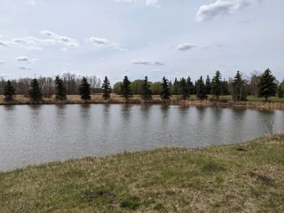 Photo 3: 46 27118 HWY 18: Rural Westlock County Rural Land/Vacant Lot for sale : MLS®# E4238085