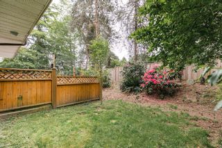 Photo 33: 108 1210 FALCON Drive in Coquitlam: Upper Eagle Ridge Townhouse for sale in "Fernleaf Place" : MLS®# R2782748