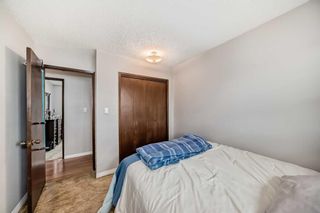 Photo 20: 3816 Dover Ridge Drive SE in Calgary: Dover Detached for sale : MLS®# A2124560