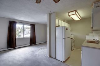 Photo 7: 6 714 5A Street NW in Calgary: Sunnyside Apartment for sale : MLS®# A1031128