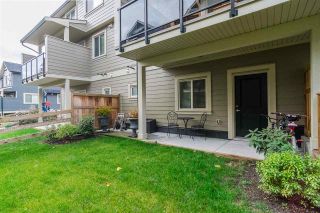 Photo 19: 80 19913 70 Avenue in Langley: Willoughby Heights Townhouse for sale in "The Brooks" : MLS®# R2332375