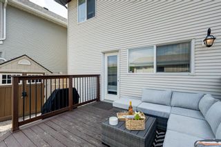 Photo 26: 118 Cranberry Close SE in Calgary: Cranston Detached for sale : MLS®# A2050518