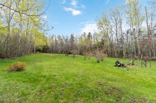 Photo 12: 1256 Highway 1 in Clementsport: Annapolis County Residential for sale (Annapolis Valley)  : MLS®# 202308794