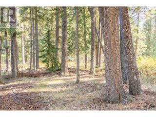 Photo 12: LOT 3 RAINBOW DRIVE in Canim Lake: Vacant Land for sale : MLS®# R2818619