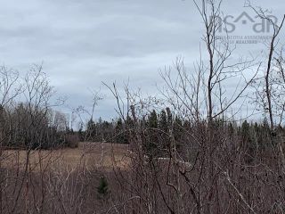 Photo 17: 1451 Hansford Road in Hansford: 102N-North Of Hwy 104 Residential for sale (Northern Region)  : MLS®# 202306271
