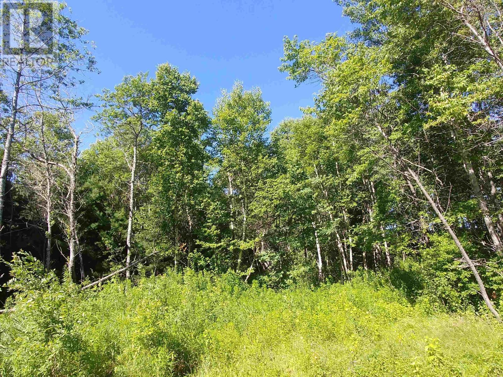 Main Photo: Lot 3 Birch Lane in Georgetown Royalty: Vacant Land for sale : MLS®# 202216481