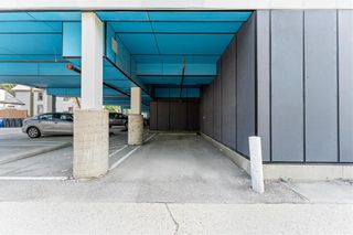 Photo 31: 405 369 Stradbrook Avenue in Winnipeg: Osborne Village Condominium for sale (1B)  : MLS®# 202402961
