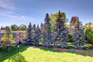 Photo 19: 427 1616 8 Avenue NW in Calgary: Hounsfield Heights/Briar Hill Apartment for sale : MLS®# A2004706