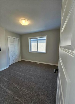 Photo 21: 272 Zimmerman Drive in Winnipeg: House for sale : MLS®# 202402090