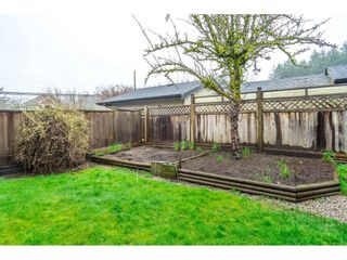 Photo 36: 14421 91A AVE Avenue in Surrey: Bear Creek Green Timbers House for sale : MLS®# R2706821