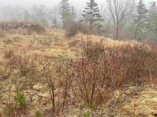 Photo 2: Lot 217 Highway in Rossway: Digby County Vacant Land for sale (Annapolis Valley)  : MLS®# 202205790