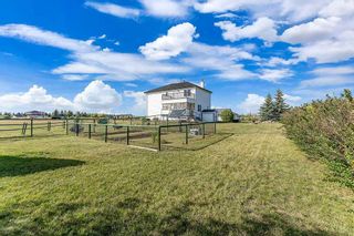 Photo 40: 5073 286 Avenue W: Rural Foothills County Detached for sale : MLS®# A2079878