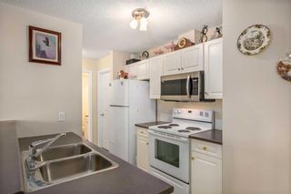 Photo 8: 201 260 Shawville Way SE in Calgary: Shawnessy Apartment for sale : MLS®# A2126304
