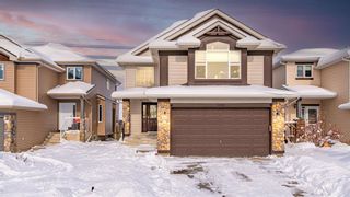 Main Photo: 100 Chaparral Common SE in Calgary: Chaparral Detached for sale : MLS®# A2028096