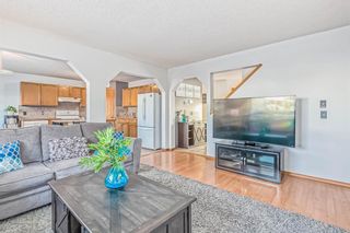 Photo 6: 52 Applewood Court SE in Calgary: Applewood Park Detached for sale : MLS®# A2018208