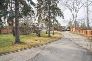 Photo 5: 246 Dunkirk Drive in Winnipeg: St Vital Residential for sale (2C)  : MLS®# 202330894