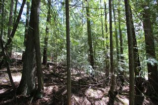 Photo 15: Lot 212 Estate Place in Anglemont: North Shuswap Land Only for sale : MLS®# 10233839