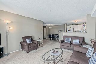 Photo 17: 2210 2280 68 Street NE in Calgary: Monterey Park Apartment for sale : MLS®# A2023196