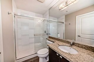 Photo 27: 1902 77 Spruce Place SW in Calgary: Spruce Cliff Apartment for sale : MLS®# A2129457