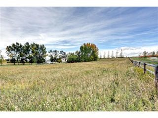 Photo 10: 386141 2 Street E: Rural Foothills M.D. House for sale : MLS®# C4081812