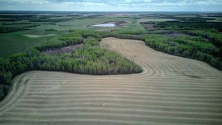Photo 29: SE-4-59-6-W5 590 Township: Rural Lac Ste. Anne County Agriculture for sale : MLS®# A2103985