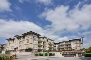 Photo 15: 118 30515 CARDINAL Avenue in Abbotsford: Abbotsford West Condo for sale : MLS®# R2136860