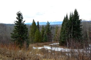 Photo 12: 9410 ADAMS Road in Smithers: Smithers - Rural Land for sale in "Driftwood" (Smithers And Area (Zone 54))  : MLS®# R2670519