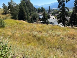 Photo 3: 1827 Mountain View Avenue, in Lumby: Vacant Land for sale : MLS®# 10261074