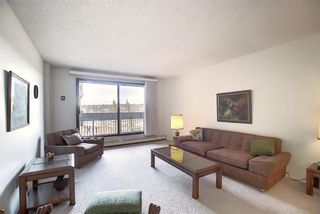 Photo 5: 505 9800 Horton Road SW in Calgary: Haysboro Apartment for sale : MLS®# A1060584