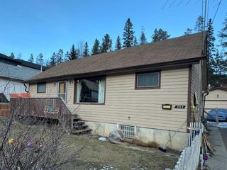 Photo 11: 264 Three Sisters Drive: Canmore Detached for sale : MLS®# A2095880