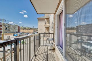 Photo 19: 206 1829 11 Avenue SW in Calgary: Sunalta Apartment for sale : MLS®# A2048820