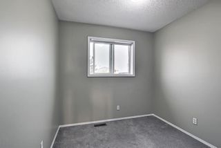 Photo 20: 165 Appleside Close SE in Calgary: Applewood Park Detached for sale : MLS®# A1136697