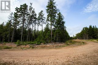 Photo 4: Lot Burman ST in Sackville: Vacant Land for sale : MLS®# M143181