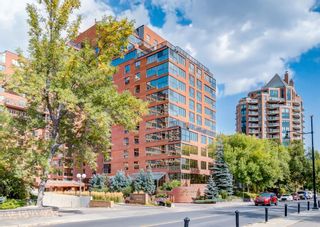 Main Photo: 408 318 26 Avenue SW in Calgary: Mission Apartment for sale : MLS®# A1257856