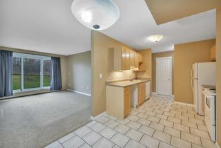 Photo 7: 101 103 Hermary Street: Red Deer Apartment for sale : MLS®# A2130012