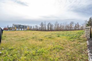 Photo 19: 54 WINDERMERE Drive in Edmonton: Zone 56 Vacant Lot/Land for sale : MLS®# E4362334