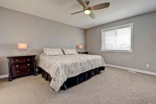 Photo 29: 247 CANALS Close SW: Airdrie House for sale : MLS®# C4135692