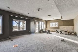 Photo 37: 36 ROYAL HIGHLAND Court NW in Calgary: Royal Oak Detached for sale : MLS®# A1029258