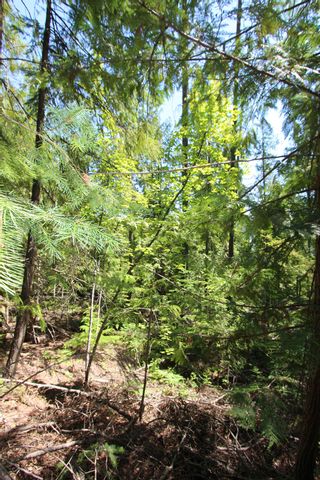 Photo 5: Lot 33 4498 Squilax Anglemont Hwy in Scotch Creek: Land Only for sale : MLS®# 10235084